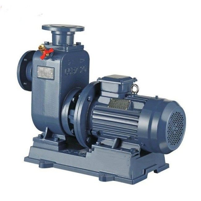 Doppia acqua Ring Vacuum Pump Explosion Proof della fase per il filtro a depressione