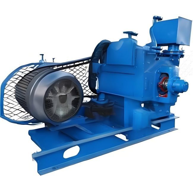 Diametro del rotore 300-1480 mm Pompa a vuoto ad anello d'acqua per ambienti ad alta temperatura