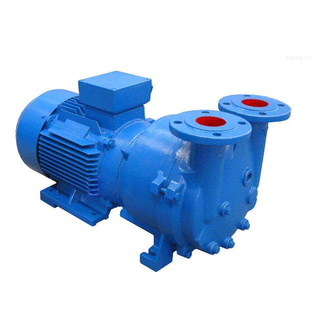 Diametro del rotore 300-1480 mm Pompa a vuoto ad anello d'acqua per ambienti ad alta temperatura